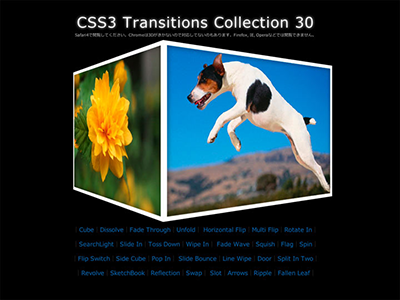 CSS3 Transitions Collection 30 css web