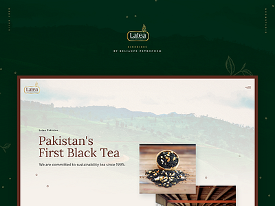 Latea Pakistan | Website Design