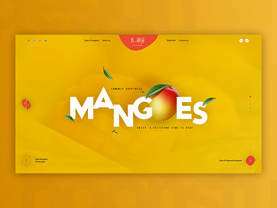 Mango Cultivars - Web Design Concept behance concept design development fruit fruit web idea instagram interaction design layout mango mango web mangoes online shop template uiux user interface ux website