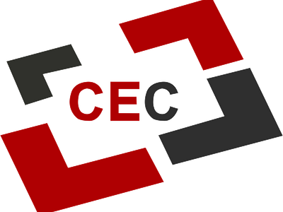 Canada Education Consultants Inc. brand design branding creative creativity design designer designs ecommerce logo typography website wordpress design