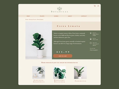 Daily UI #012 - E-Commerce Shop (Single Item) app daily daily ui daily ui 012 daily ui challenge dailyui dailyui 012 dailyuichallenge design e commerce e commerce design e commerce shop ecommerce ecommerce design plant plant shop plant store plants ui ux