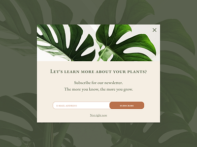 Daily UI #016 - Pop-Up / Overlay daily daily ui daily ui challenge dailyui dailyuichallenge design overlay plant plant shop plant store pop up pop ups popup ui ux web web design webdesign website website design