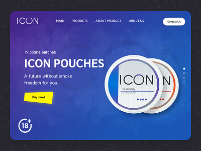 iCon Pouches branding design icon ui ux website