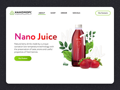 Nano Juice branding juice ui ux website