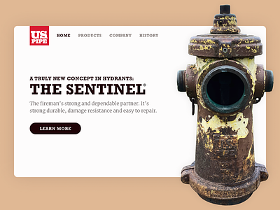 Sentinel Fire Hydrant