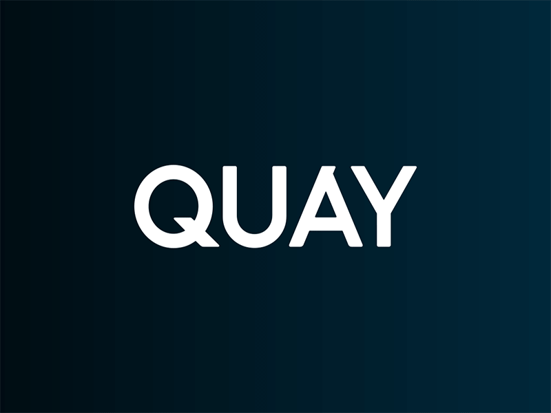 Quay Logo branding design logo sunglasses typography vector