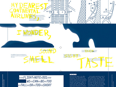 In-Plight Spreads airline book brushed design expressive type typography