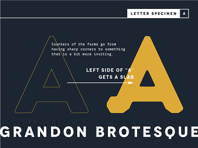 Grandon Brotesque Specimen "A" bro gym meaty typeface