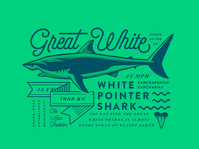 Great White Shark discovery great shark week white