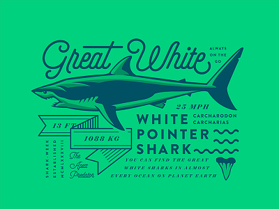 Great White Shark