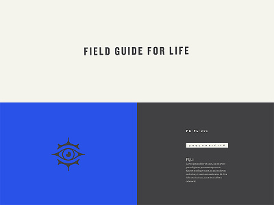 Field Guide for Life - Assets compass enlighten eye guidance information sight target
