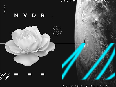 NVDR Collage 1 code collage flower morse nvdr play storm