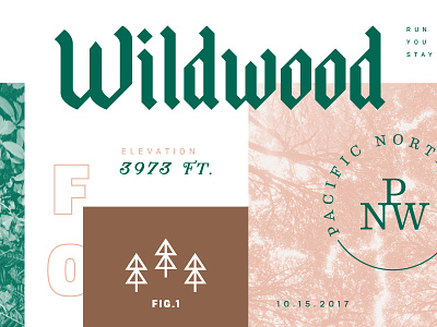Wildwood Pattern Sample diamond oregon pacific northwest pattern portland running trail w wildwood