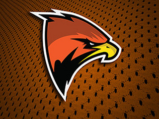 Humboldt Hawks by Tyler on Dribbble