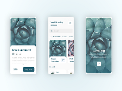 Flew Application app best branding buy cactus clean creative design ecommerce flat flower home homepage ios minimal plant plants simple succulent trending