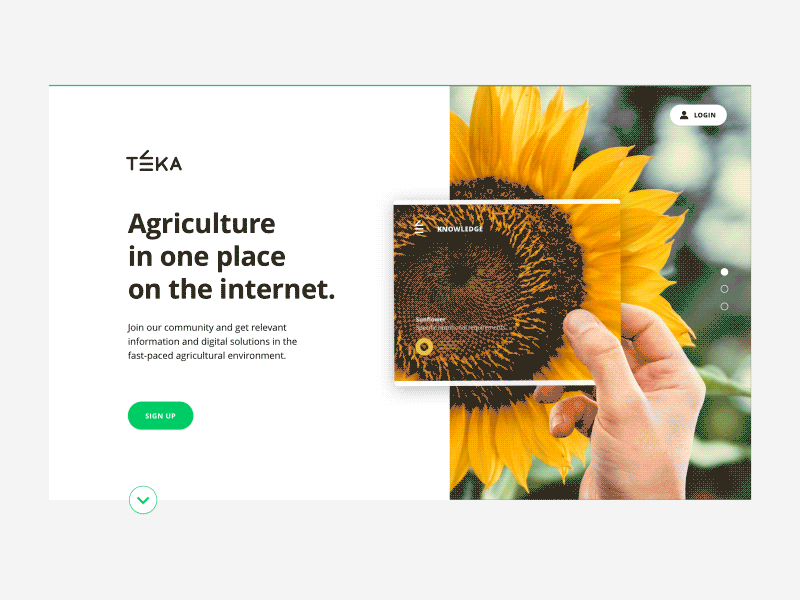 Landing page for a new Hungarian agriculture portal agriculture animal animation clean design green hand landing page minimal simple sunflower ui