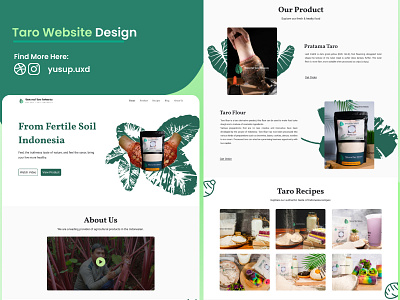 Universal Taro Indonesia branding design export website exportir website green taro design taro website ui ux web web design