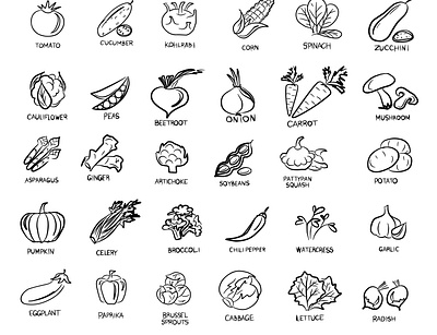 Vegan and vegetarian icon set with vegetables. agriculture broccoli carrot cauliflower chili collection cooking corn cucumber design diet eggplant farm food fresh garlic green vegan vegetables vegetarian