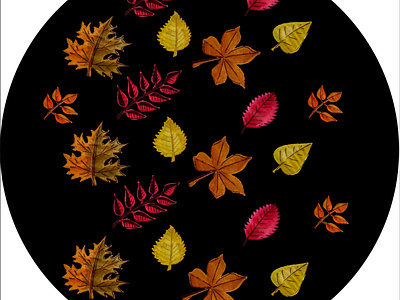 Autumn set of leaves of different trees. Yellow, red, orange, ma