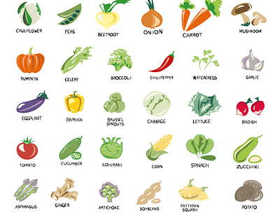 Vegan, vegetarian set of icons with vegetables. Natural colors. branding collection color concept design grass mushrooms proper nutrition vector vector isolated image vegetables vegetarian