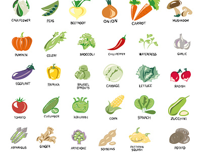 Vegan, vegetarian set of icons with vegetables. Natural colors.