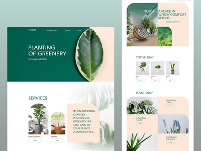 Fitonia — planting of greenery, plant care, space improvment design figma fitonia flora floralservices floralshop flower flowers flowerslovers green leaf onlineretail onlineshop plant plantcare plantingofgreenery plantingofgreenerydervice plants plantshop