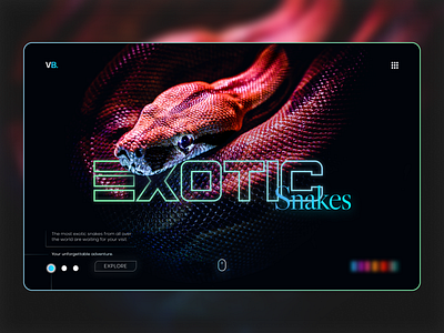 Exotic snakes home page design exotic snakes typography ui ux web design