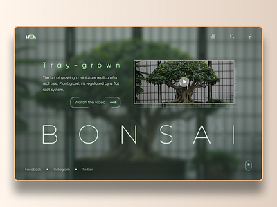 Bonsai concept UI Web-design bonsai botanical design garden typography ui ux web design