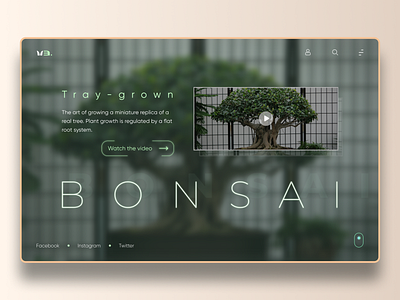 Bonsai concept UI Web-design