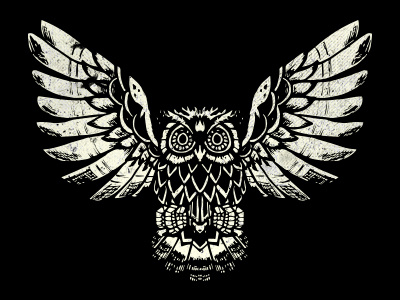 Owl Sketch branding design handcrafted handmade illuminati illustration lettering owl pencil sketch typography yeg