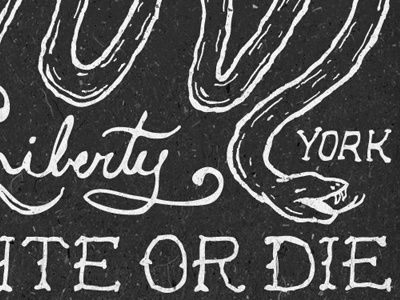 Unite Or Die hand drawn liberty new york