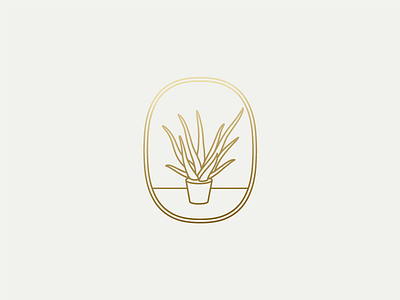 Aloe Plant aloe gold gradient house plant icon illustration logo