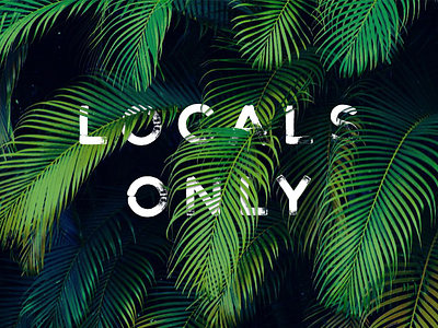 Locals Only gotham green lettering locals only palm fronds