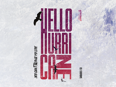 Everyday 03 // Hello Hurricane design graphicdesign illustration photoshop poster poster art typography typography design