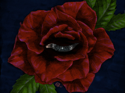 Colour Test colour digital colour digital illustration eye floral flower illustration rose