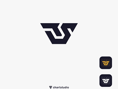 TS logo app branding design flat icon illustration logo ui ux vector