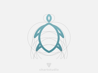 Turtle Logo Design