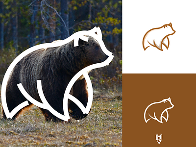 Bear Logo Design animal app bear branding design flat golden ratio grid logo icon illustration line art logo logo creator ui vector
