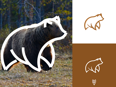 Bear Logo Design