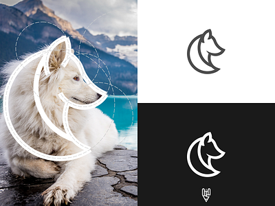 White Wolf Logo Design app branding design flat golden ratio grid logo icon illustration line art logo vector white wolf wolf