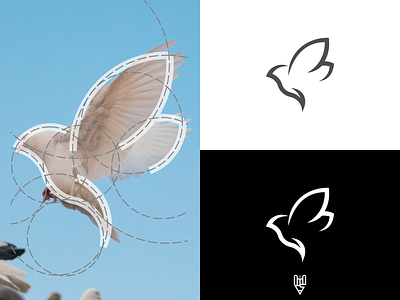 Pigeon Logo Design app branding design flat golden ratio grid logo icon illustration line art logo logo creator logo design pigeon ui ux vector