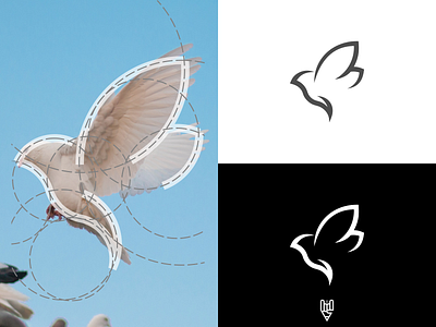 Pigeon Logo Design