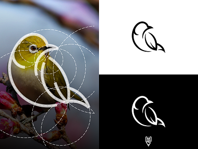 Bird Logo Design