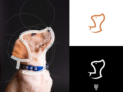 Dog Logo Design app branding design dog flat golden ratio grid logo icon illustration line art logo logo creator vector