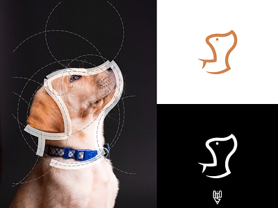 Dog Logo Design