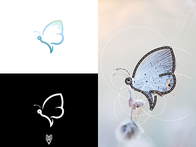 Butterfly Logo Design app branding butterfly design flat golden ratio grid logo icon illustration line art logo logo creator vector