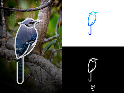 Bird Logo Design