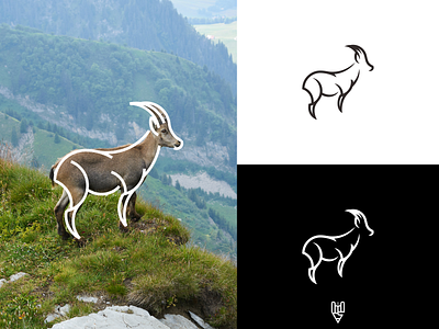 Ibex Logo Design