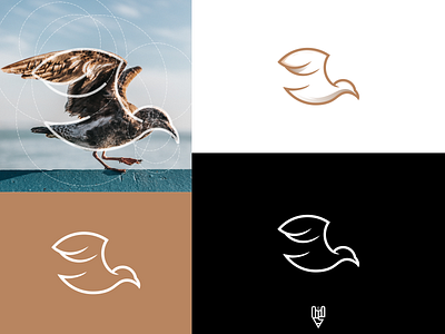 Seagul Logo Design app bird branding design flat golden ratio grid logo icon illustration line art logo logo creator sea seagul vector