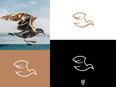 Seagul Logo Design